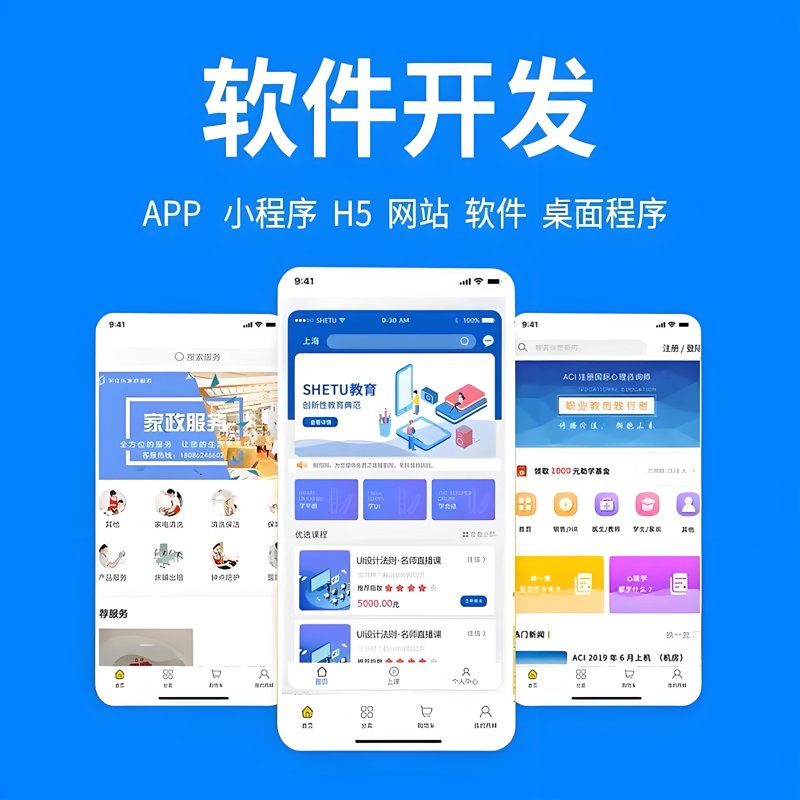 广州软件开发行业的未来